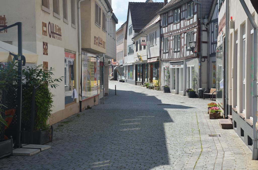 Hotel Schwartzer Loewe Babenhausen  Exteriör bild