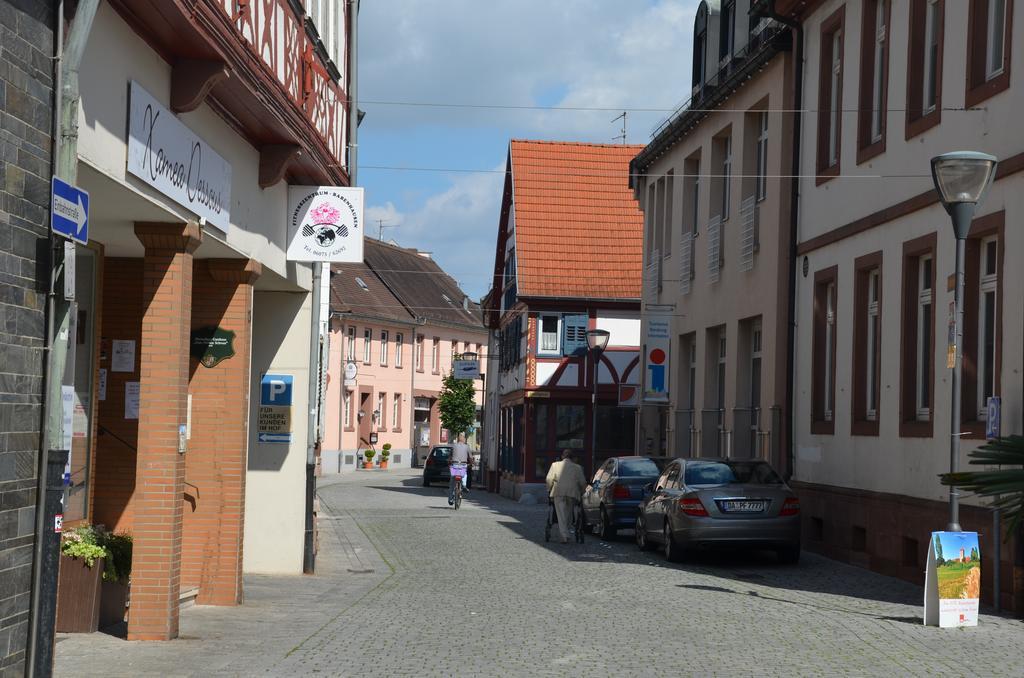 Hotel Schwartzer Loewe Babenhausen  Exteriör bild